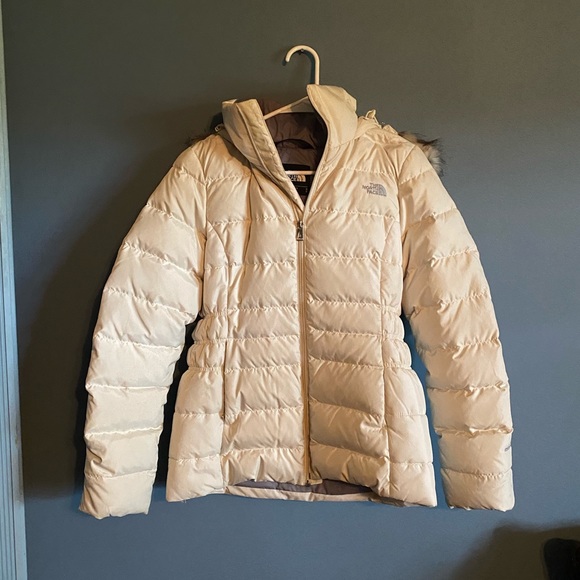 The North Face Jackets & Blazers - North Face Winter Jacket